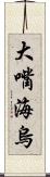 大嘴海烏 Scroll