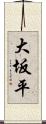 大坂平 Scroll