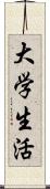 大学生活 Scroll