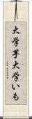 大学芋 Scroll