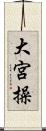 大宮操 Scroll