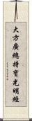 大方廣總持寶光明經 Scroll