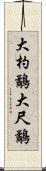 大杓鷸 Scroll