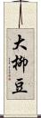 大柳豆 Scroll