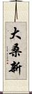 大桑新 Scroll