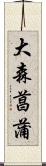 大森菖蒲 Scroll