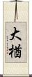 大楢 Scroll