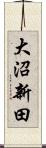 大沼新田 Scroll