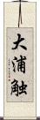 大浦触 Scroll