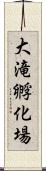 大滝孵化場 Scroll