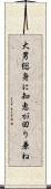 大男総身に知恵が回り兼ね Scroll