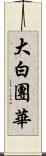 大白團華 Scroll