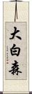 大白森 Scroll