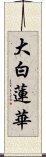 大白蓮華 Scroll