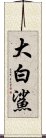 大白鯊 Scroll