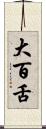 大百舌 Scroll