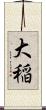 大稲 Scroll