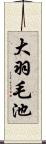 大羽毛池 Scroll