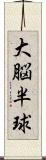 大脳半球 Scroll