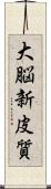大脳新皮質 Scroll
