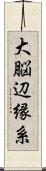 大脳辺縁系 Scroll