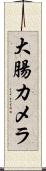 大腸カメラ Scroll
