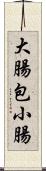 大腸包小腸 Scroll