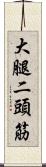 大腿二頭筋 Scroll