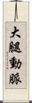 大腿動脈 Scroll