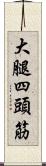 大腿四頭筋 Scroll