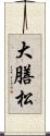 大膳松 Scroll