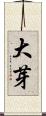 大芽 Scroll