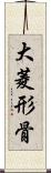 大菱形骨 Scroll