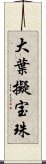 大葉擬宝珠 Scroll