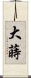大蒔 Scroll