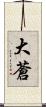大蒼 Scroll