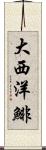 大西洋鯡 Scroll