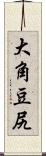 大角豆尻 Scroll
