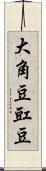 大角豆 Scroll