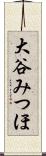 大谷みつほ Scroll