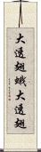 大透翅蛾 Scroll