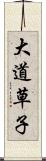 大道草子 Scroll
