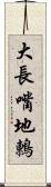 大長嘴地鶇 Scroll