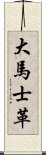 大馬士革 Scroll