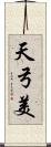 天弓美 Scroll