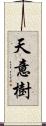 天意樹 Scroll