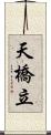 天橋立 Scroll