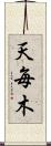 天毎木 Scroll