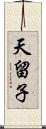 天留子 Scroll