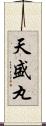 天盛丸 Scroll
